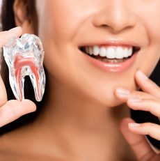 L’entretien et la durée de vie de votre prothèse dentaire mobile : tout ce que vous devez savoir